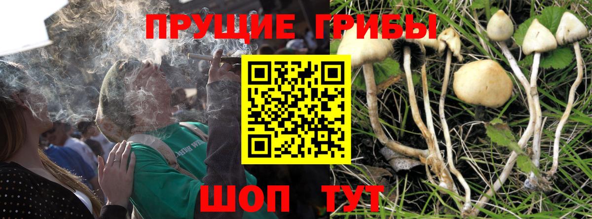 Псилоцибиновые грибы мухоморы  дарнет шоп  Воткинск  Вход с VPN 